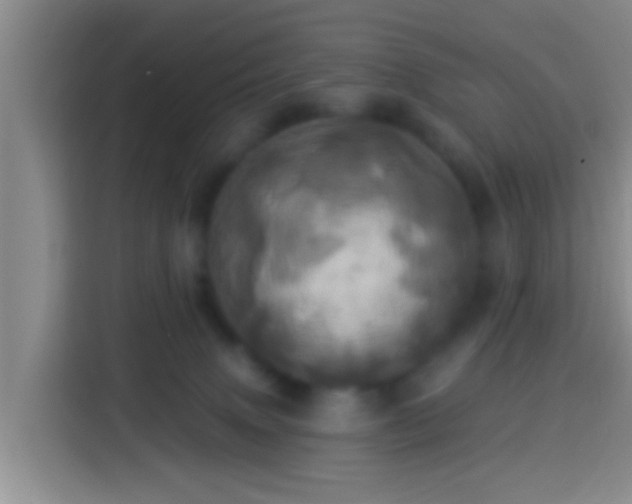 X0000113920083200910011520