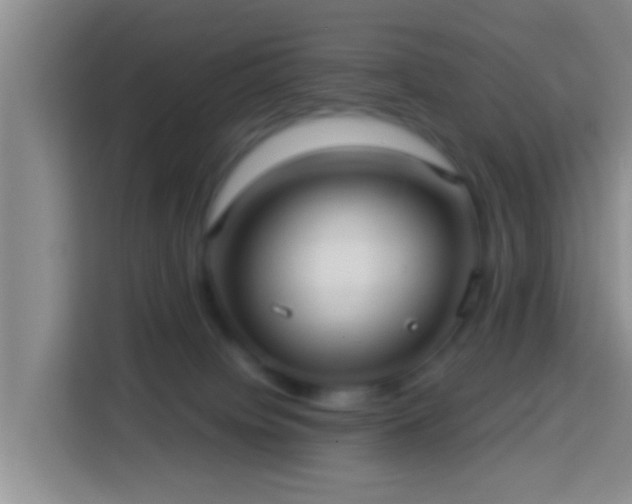 X0000113920084200910011520