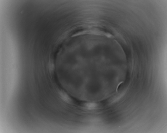 X0000113920085200910011520