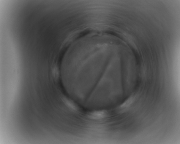 X0000113920086200910011520
