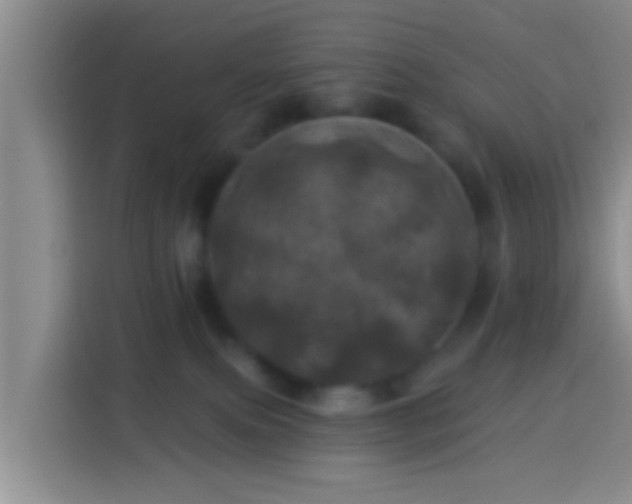 X0000113920087200910011520