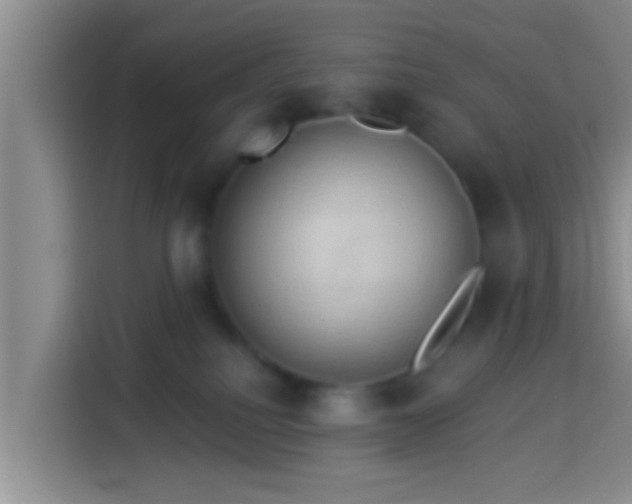 X0000113920088200910011520