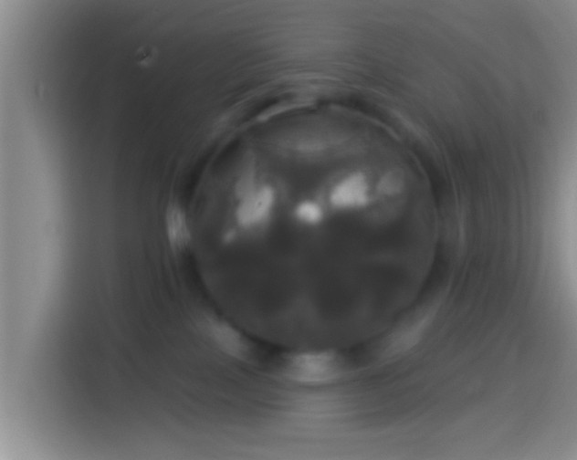 X0000113920089200910011520
