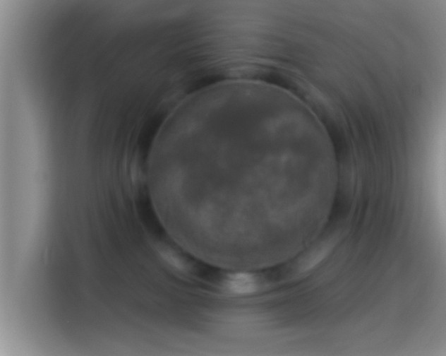 X0000113920091200910011520
