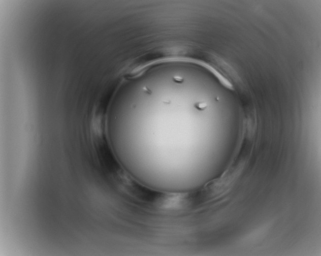 X0000113920093200910011521