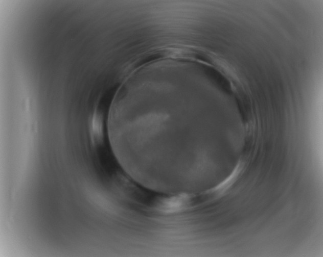 X0000113920094200910011521