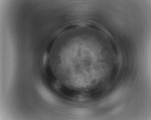 X0000113920095200910011521