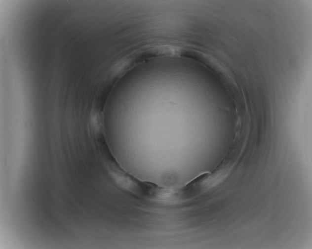 X0000113920096200910011521
