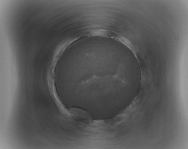 X0000113920097200910011520