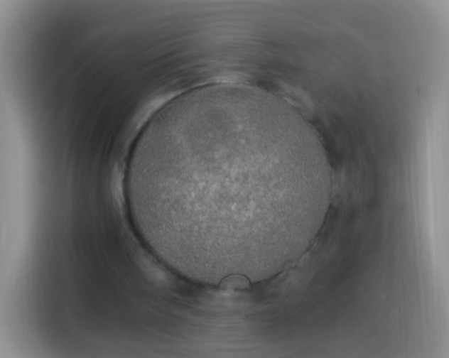 X0000113920098200910011520