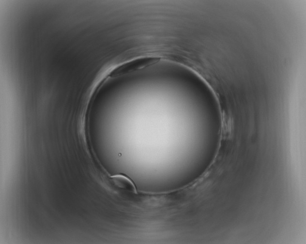 X0000113920099200910011520