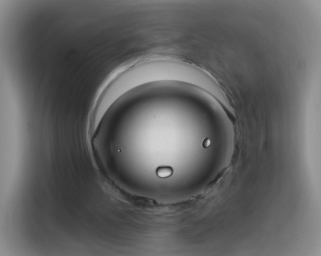 X0000113920100200910011520