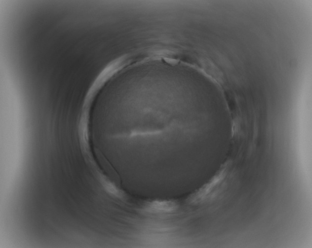 X0000113920101200910011520