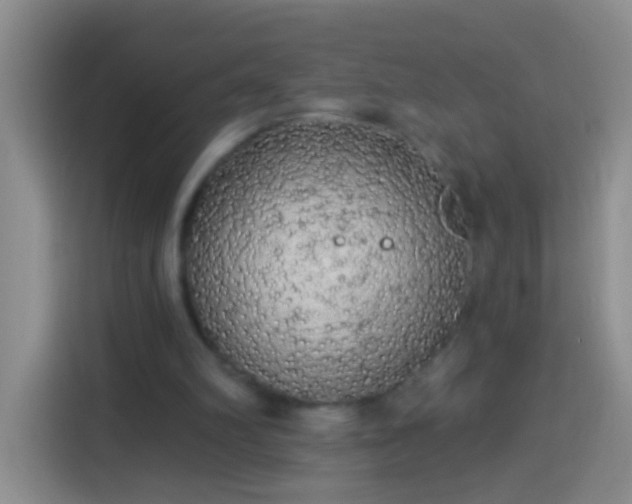 X0000113920102200910011520