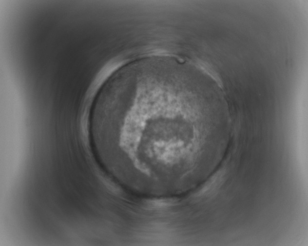 X0000113920103200910011520