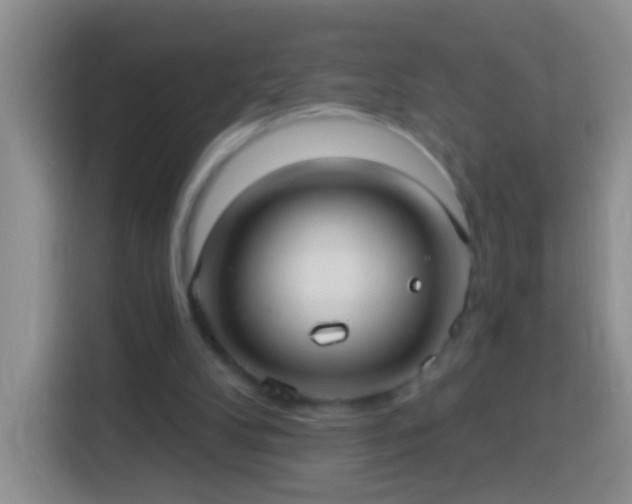 X0000113920104200910011520
