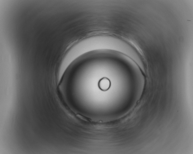 X0000113920105200910011520
