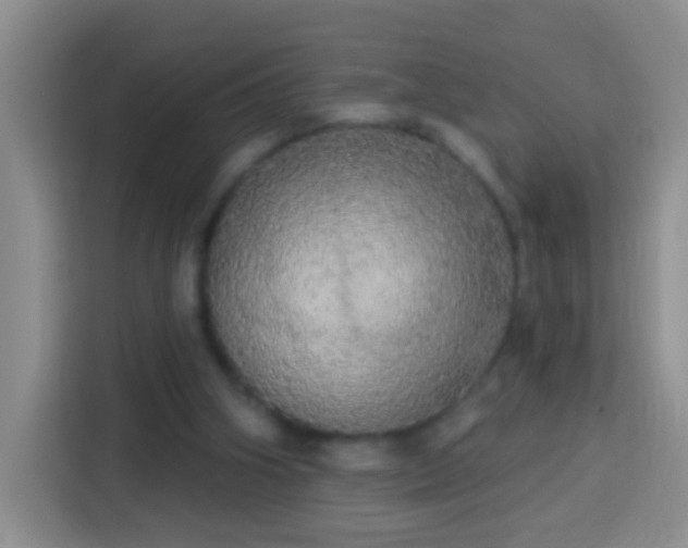 X0000113920106200910011520