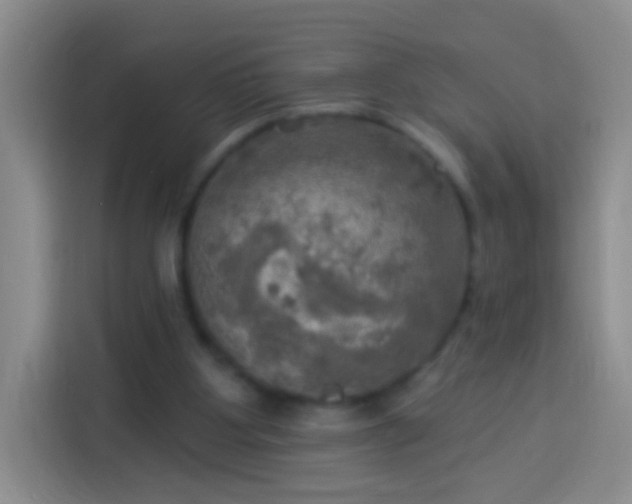 X0000113920107200910011520