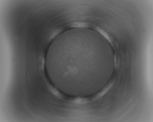 X0000113920109200910011520