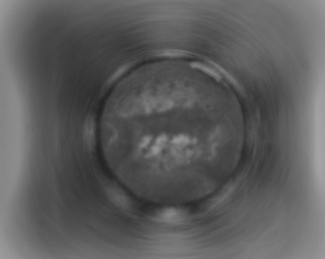 X0000113920111200910011520