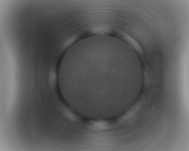 X0000113920113200910011520