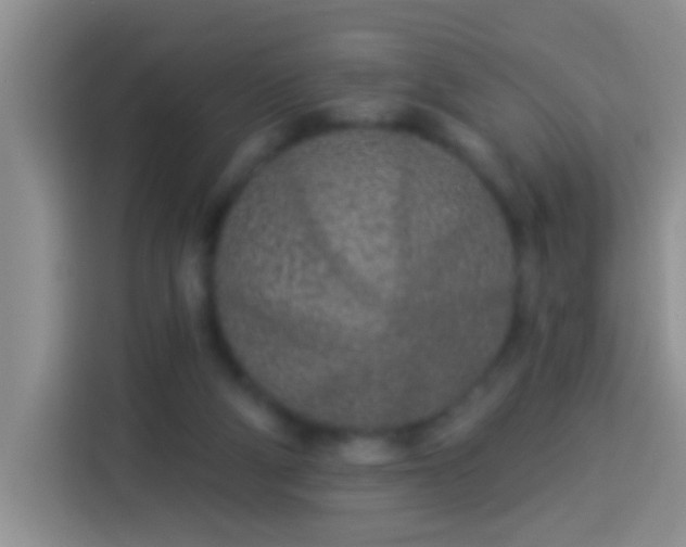 X0000113920114200910011520