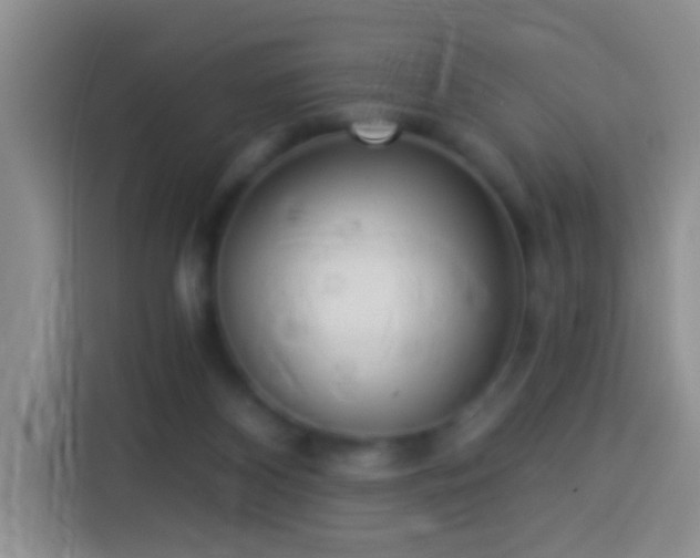 X0000113920116200910011520