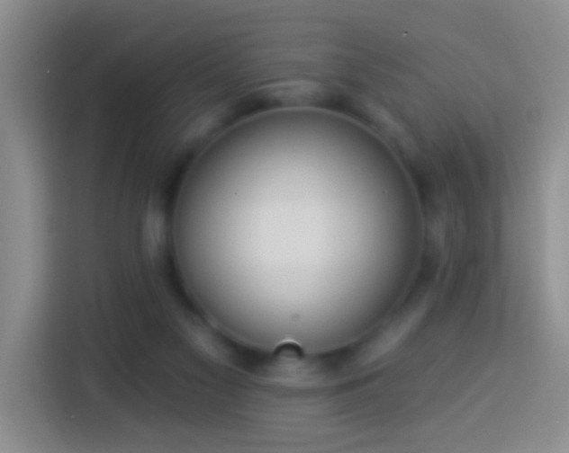X0000113920117200910011520