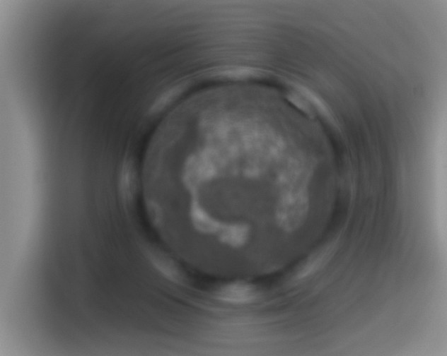 X0000113920119200910011520