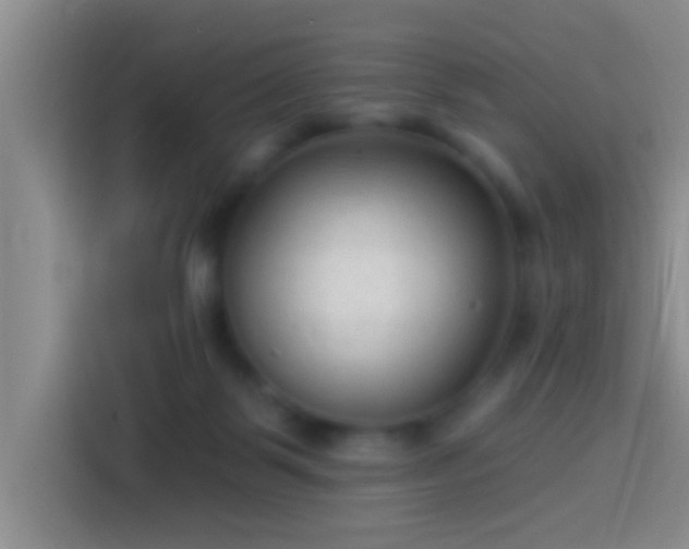 X0000113920123200910011520