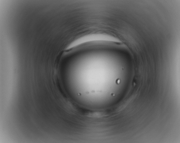X0000113920129200910011520