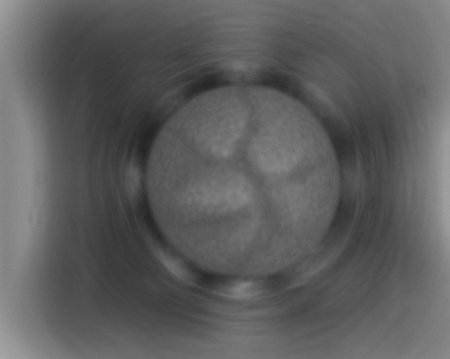 X0000113920130200910011519