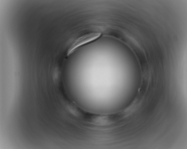 X0000113920132200910011519