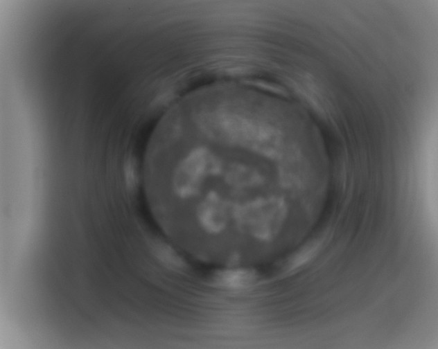 X0000113920135200910011519