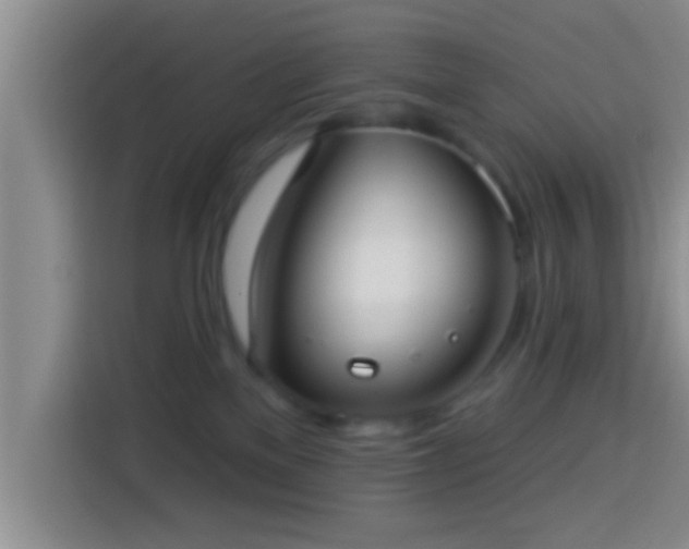 X0000113920137200910011519
