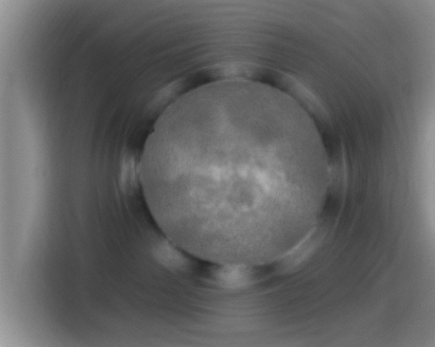 X0000113920142200910011519
