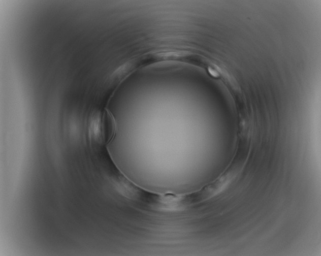 X0000113920143200910011519