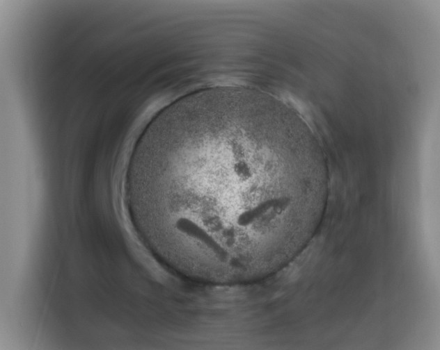 X0000113920145200910011519