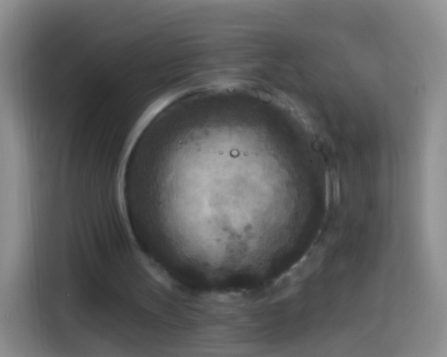 X0000113920147200910011519