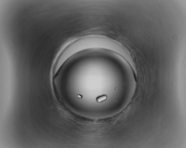 X0000113920148200910011519