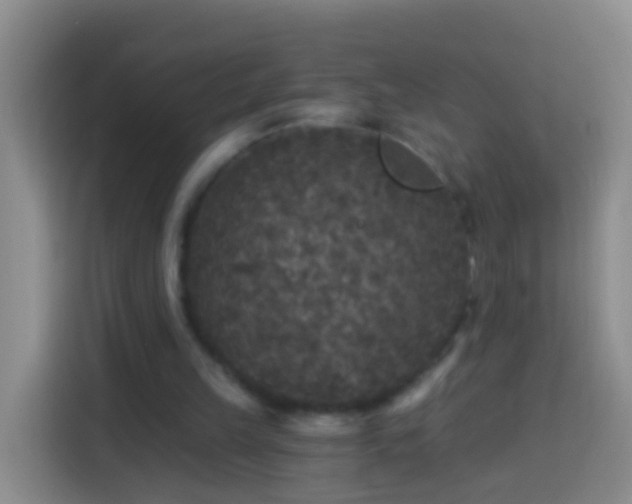 X0000113920149200910011519