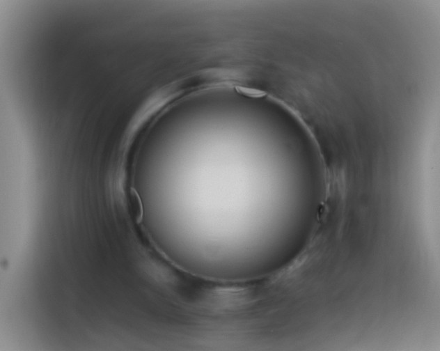 X0000113920150200910011519