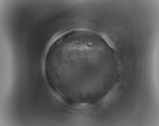 X0000113920151200910011519
