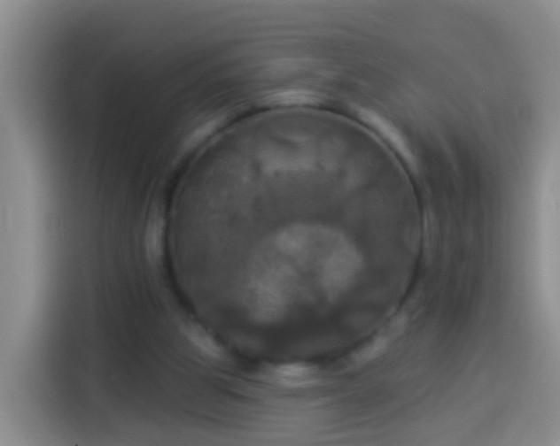 X0000113920153200910011519
