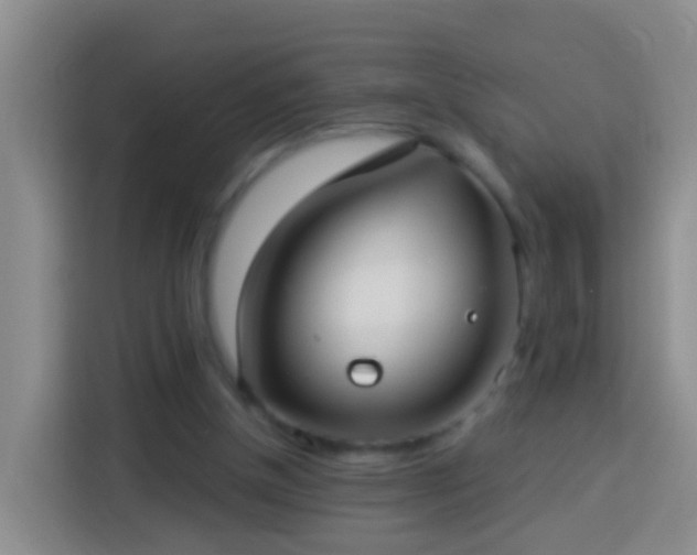 X0000113920154200910011519