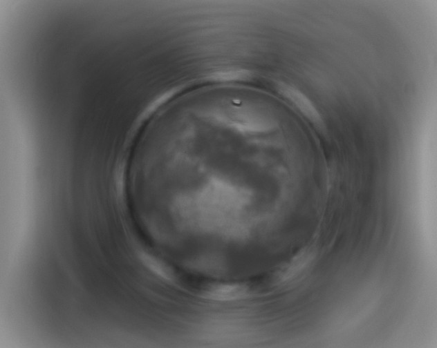 X0000113920155200910011519