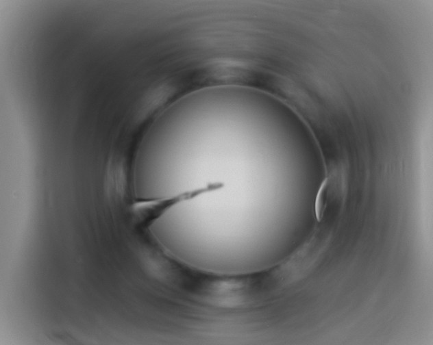 X0000113920158200910011519