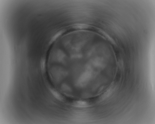 X0000113920159200910011519