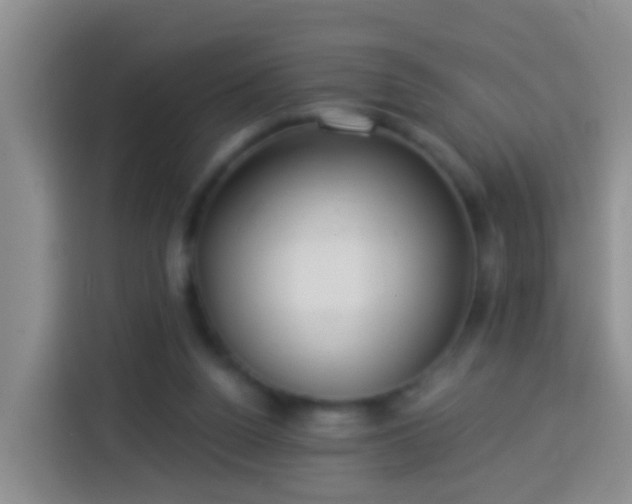 X0000113920160200910011519